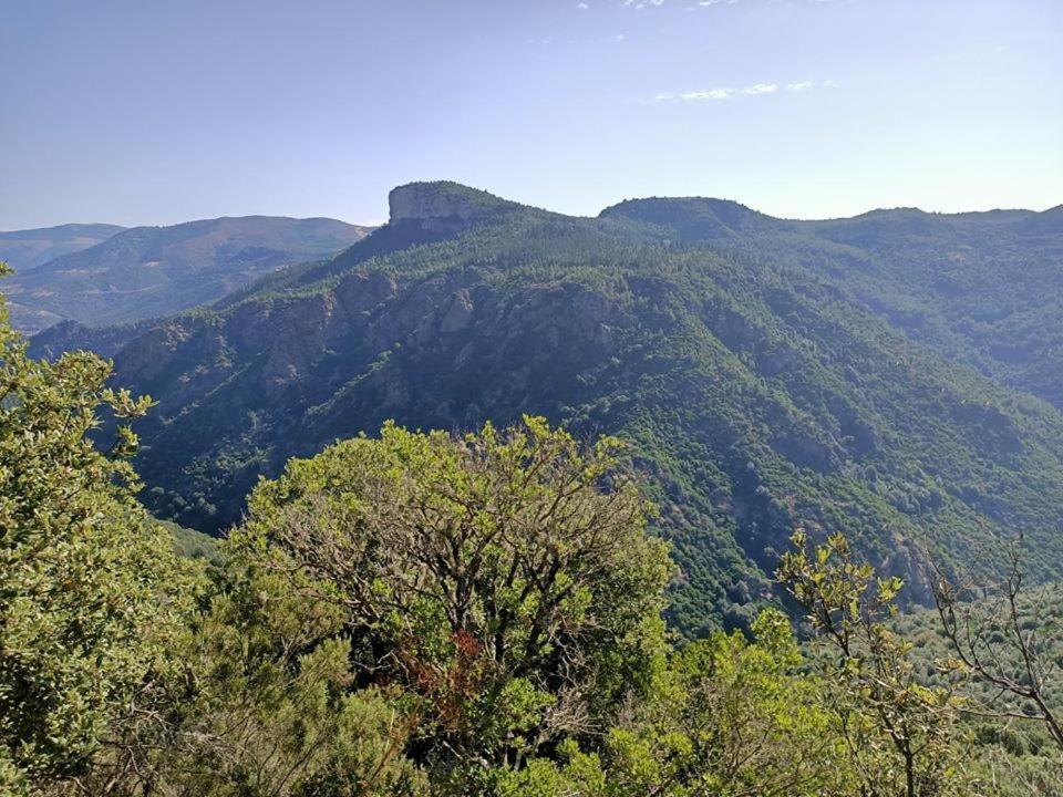 Sa Stiddiosa Guesthouse Gadoni 外观 照片